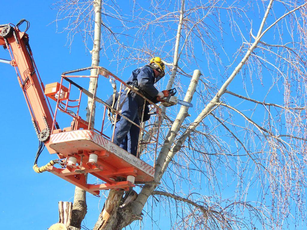 УКП «Коммунальник» в рамках благоустройства Климовичей удаляет опасные деревья