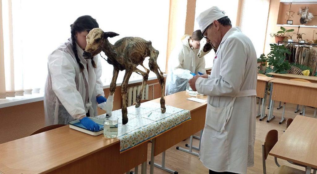 Кто стал победителем районного конкурса «ПрофиSkills-2025»