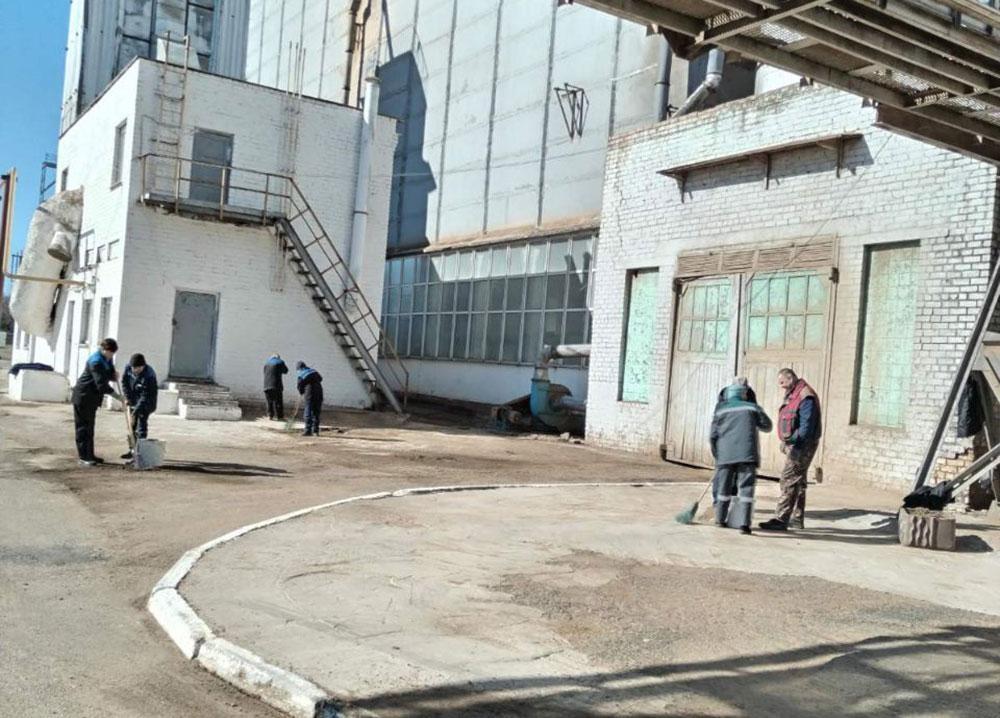 ФОТОФАКТ: на Климовичском КХП благоустраивают территорию