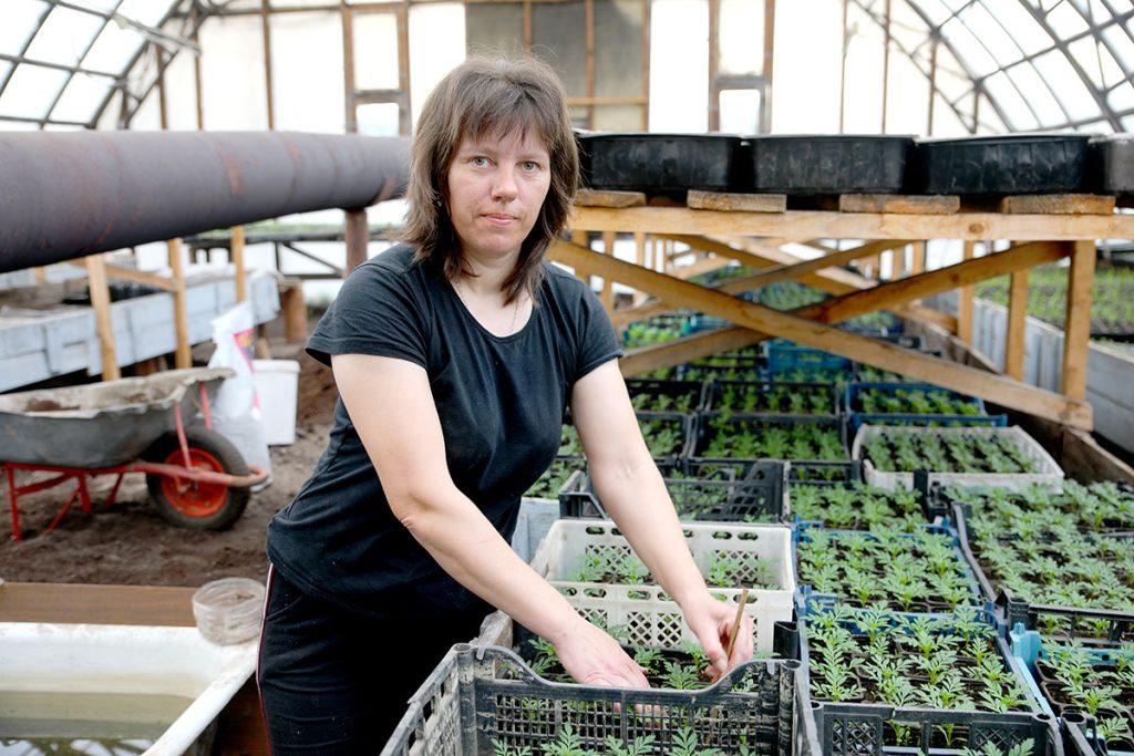 Сальвии, агератум, ценерарии. Как климовичские коммунальщики украсят город