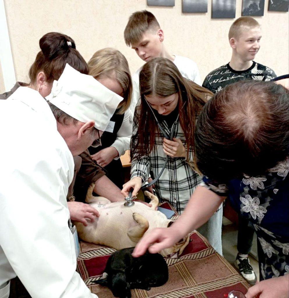 Преподаватели Климовичского аграрного колледжа обменялись опытом работы с коллегами из Российской Федерации