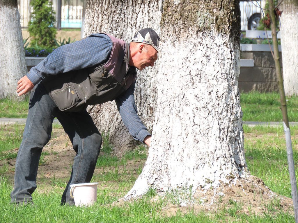 Посмотрите, как климовчане благоустраивают парк Народного единства