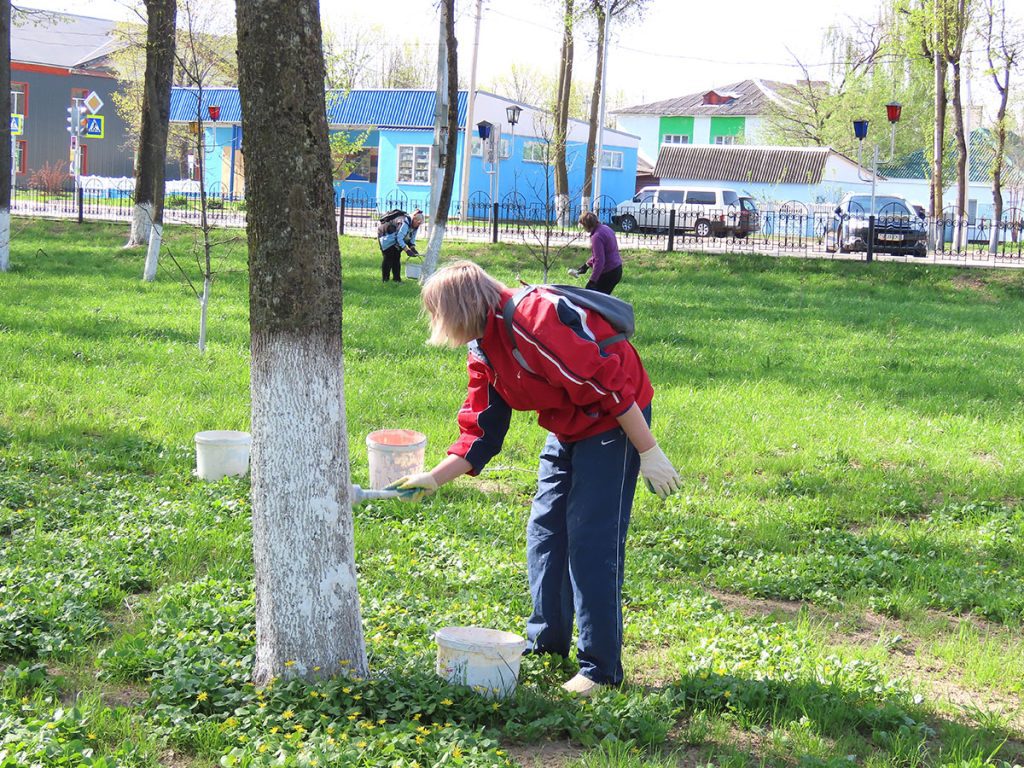 Посмотрите, как климовчане благоустраивают парк Народного единства