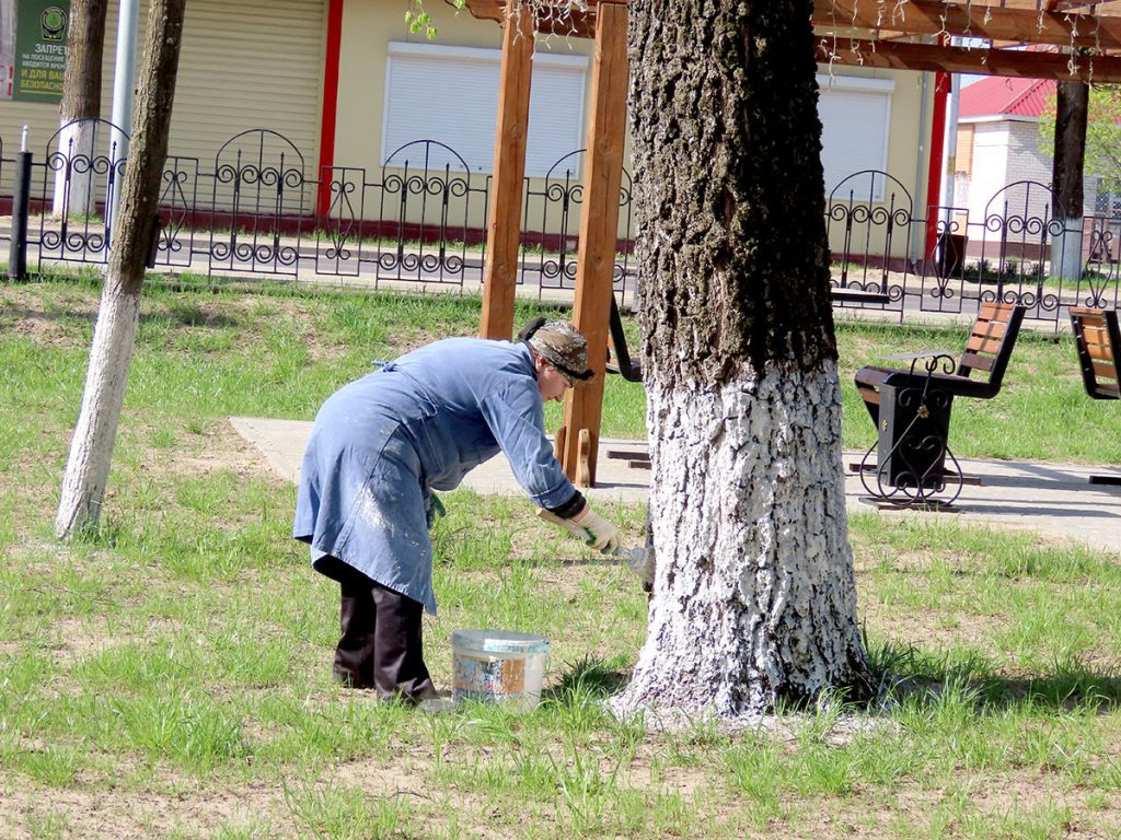 Посмотрите, как климовчане благоустраивают парк Народного единства