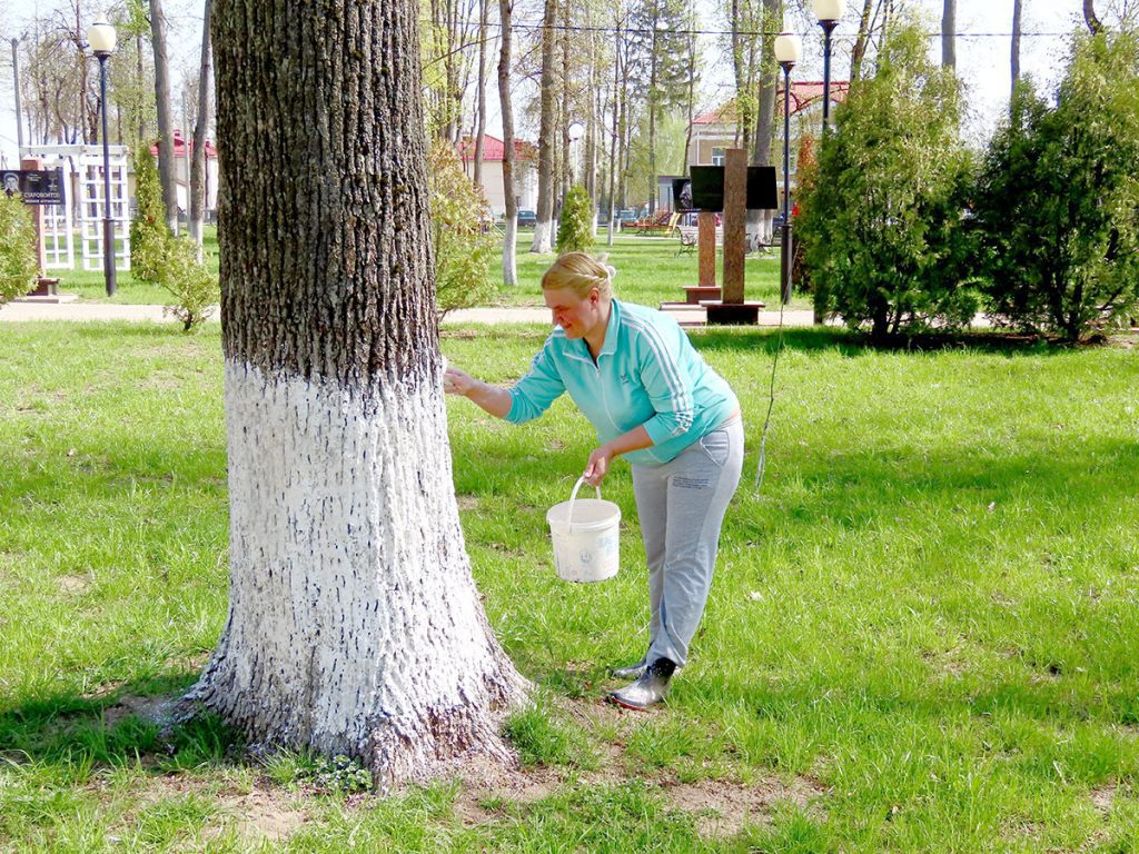 Посмотрите, как климовчане благоустраивают парк Народного единства