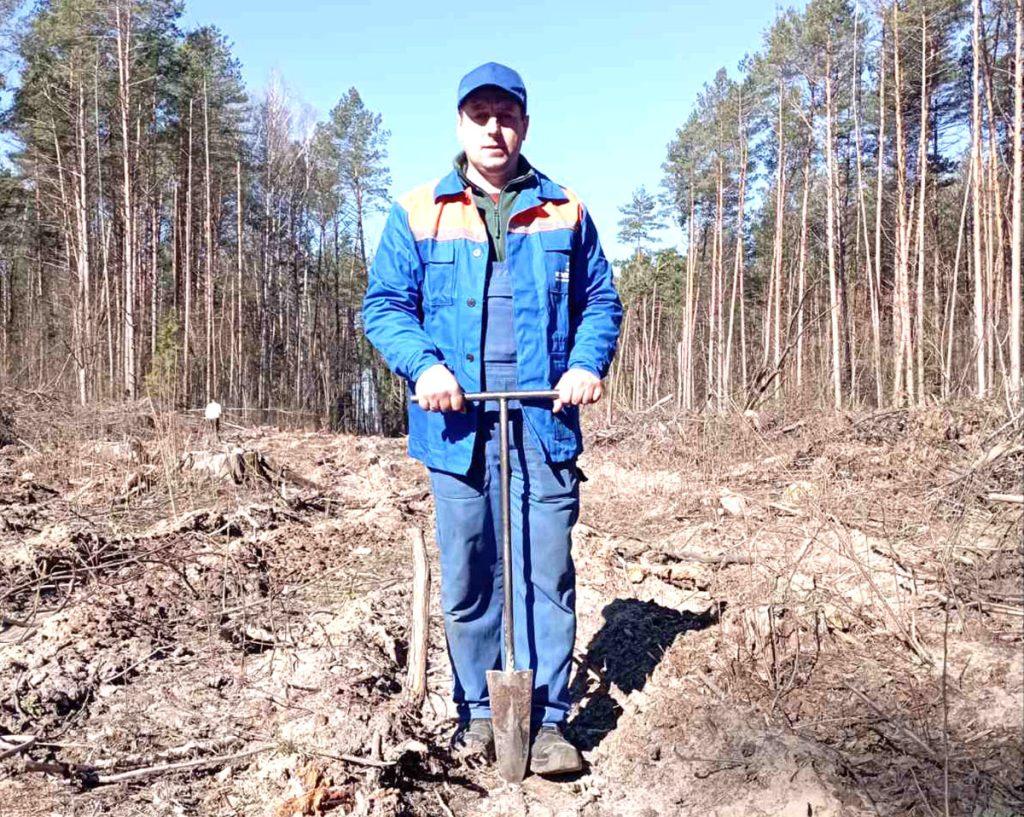 Как климовчане участвуют в акции «Дай лесу новае жыццё!»