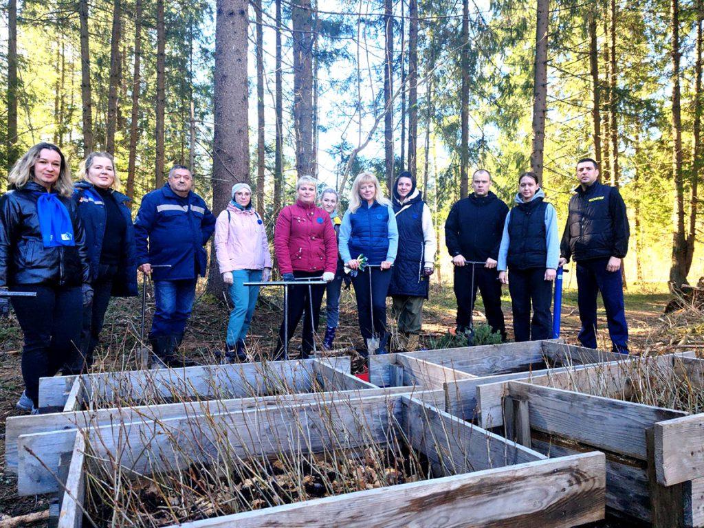 Как климовчане участвуют в акции «Дай лесу новае жыццё!»