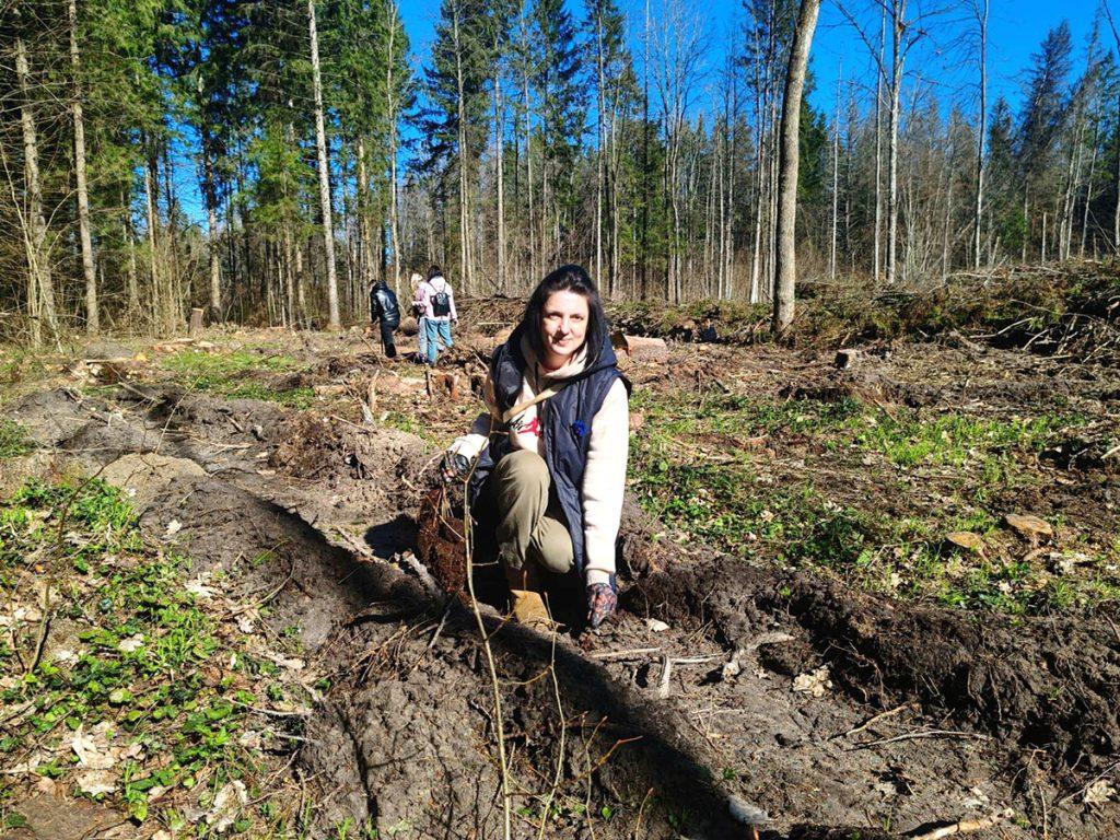Как климовчане участвуют в акции «Дай лесу новае жыццё!»