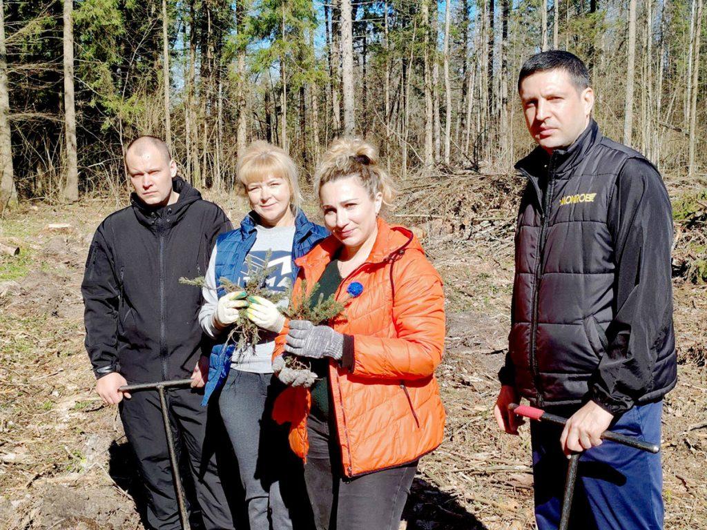 Как климовчане участвуют в акции «Дай лесу новае жыццё!»