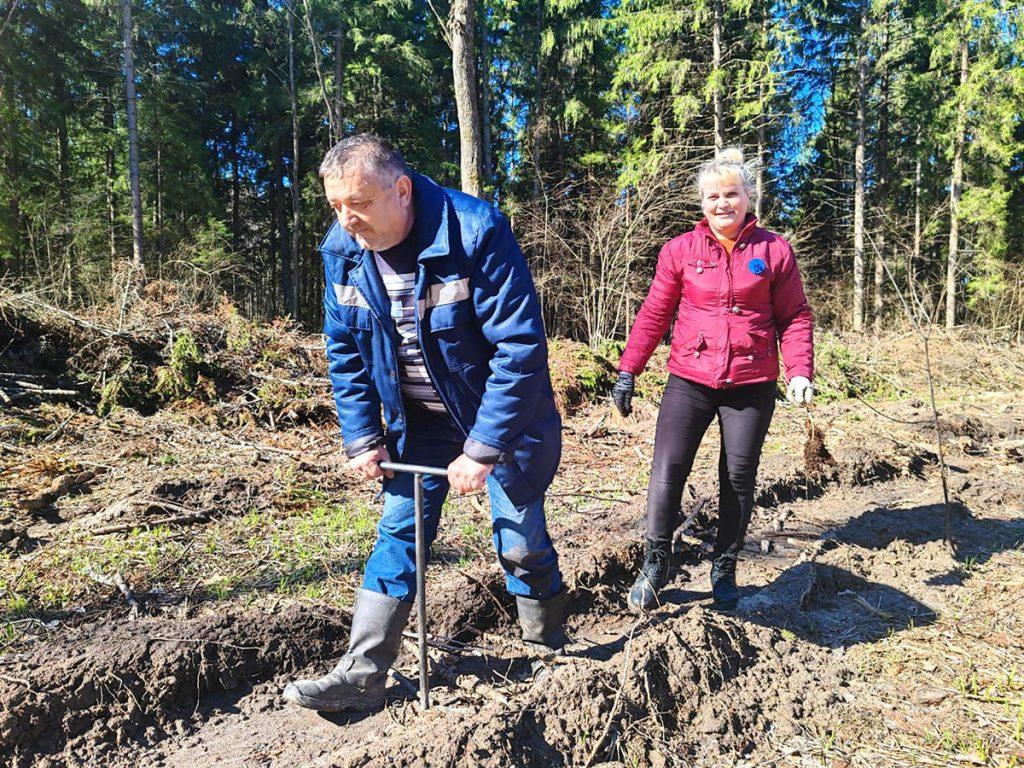 Как климовчане участвуют в акции «Дай лесу новае жыццё!»