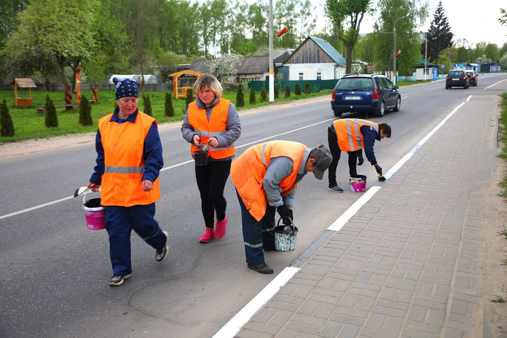 Сколько цветов высадили в Климовичах при подготовке к «Золотой пчелке»