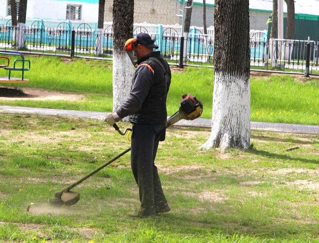 Сколько цветов высадили в Климовичах при подготовке к «Золотой пчелке»