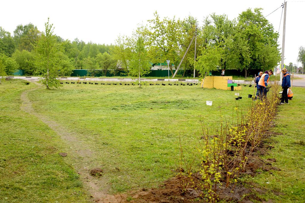 Как Климовичи готовятся к фестивалю «Золотая пчелка»