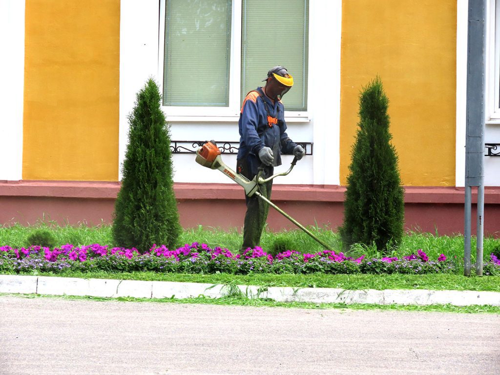 Сколько цветов высадили в Климовичах при подготовке к «Золотой пчелке»