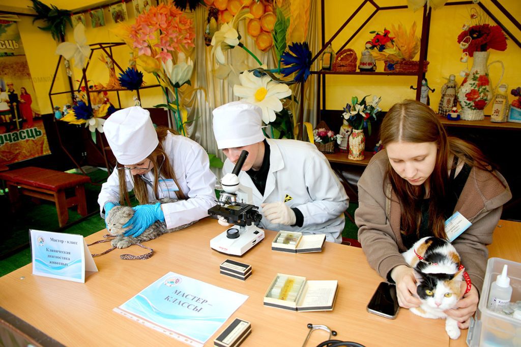 Время зажигать звезды: День творческих достижений на фестивале «Золотая пчелка»