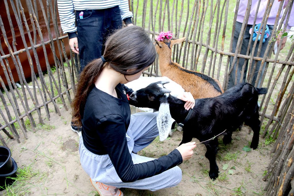 Время зажигать звезды: День творческих достижений на фестивале «Золотая пчелка»
