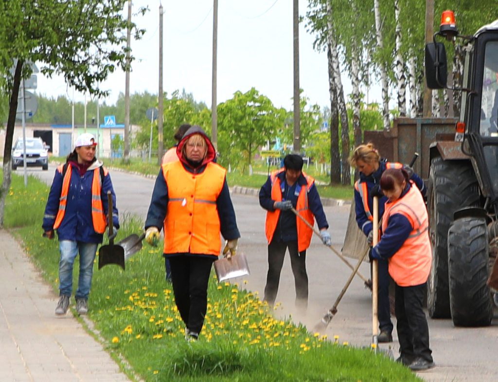 Сколько цветов высадили в Климовичах при подготовке к «Золотой пчелке»