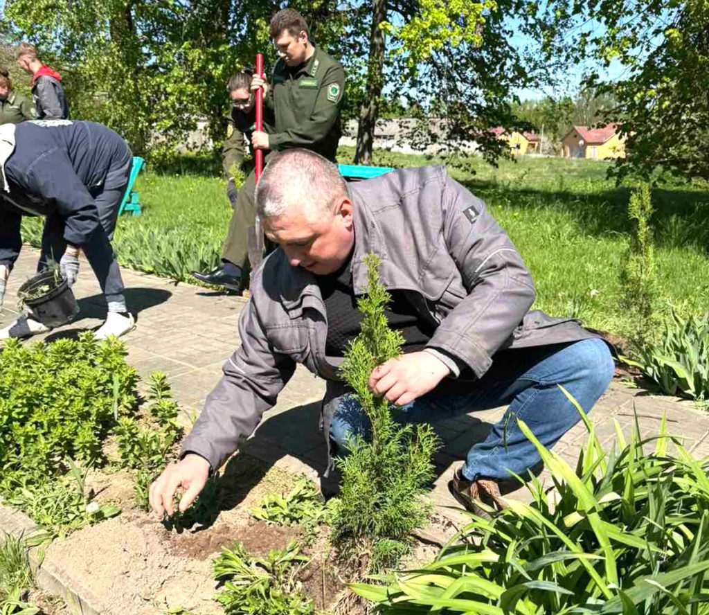 Где в Климовичском районе созданы памятные аллеи