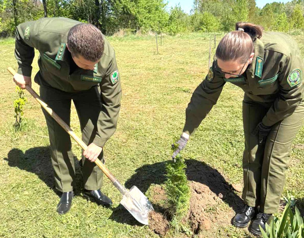 Где в Климовичском районе созданы памятные аллеи
