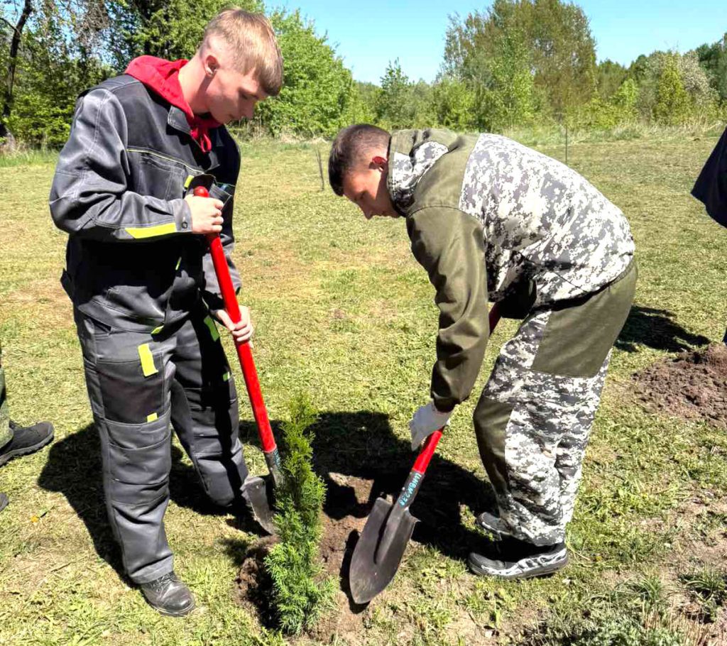 Где в Климовичском районе созданы памятные аллеи