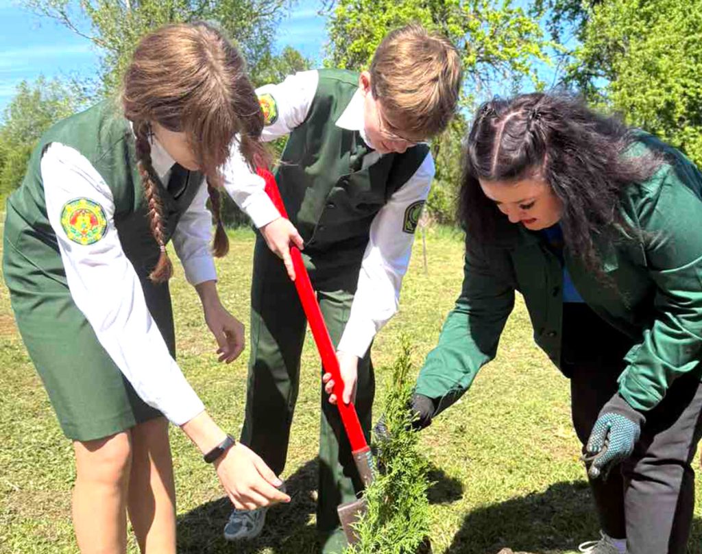 Где в Климовичском районе созданы памятные аллеи