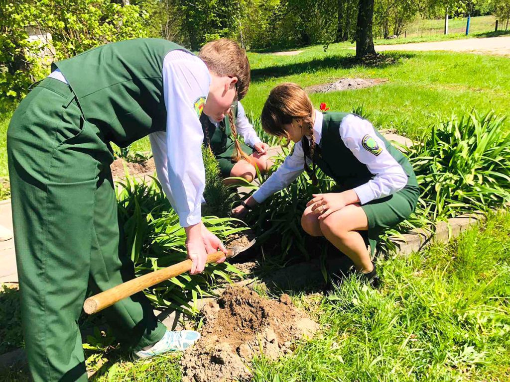 Где в Климовичском районе созданы памятные аллеи