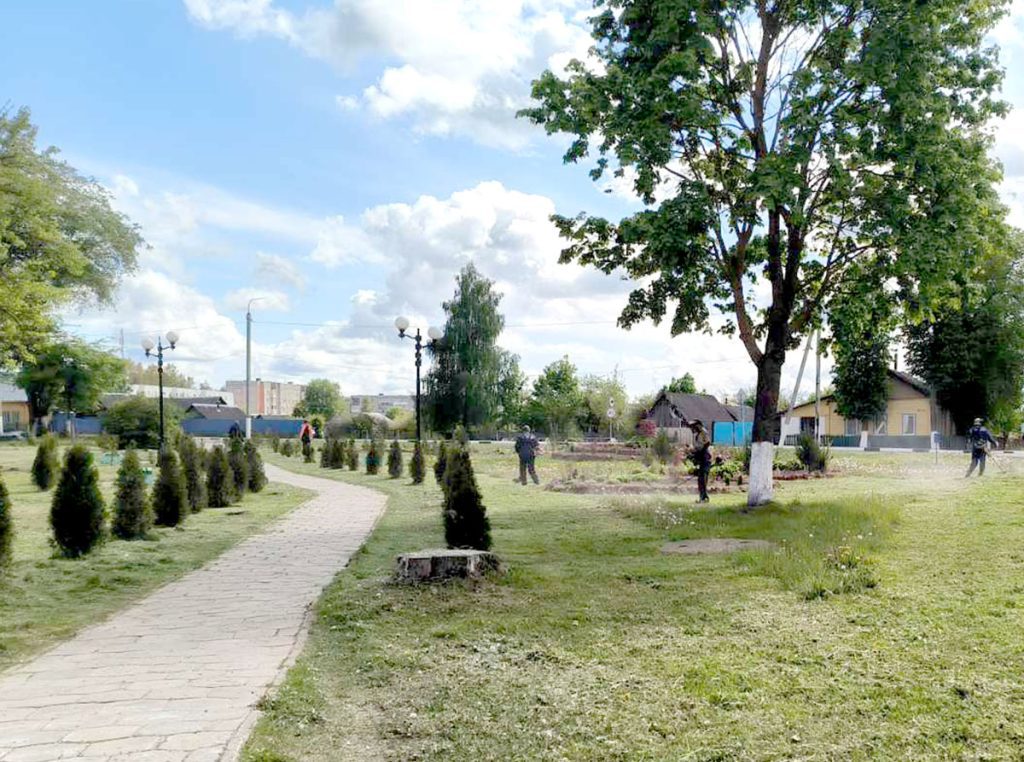 Как Климовичи готовятся к фестивалю «Золотая пчелка»