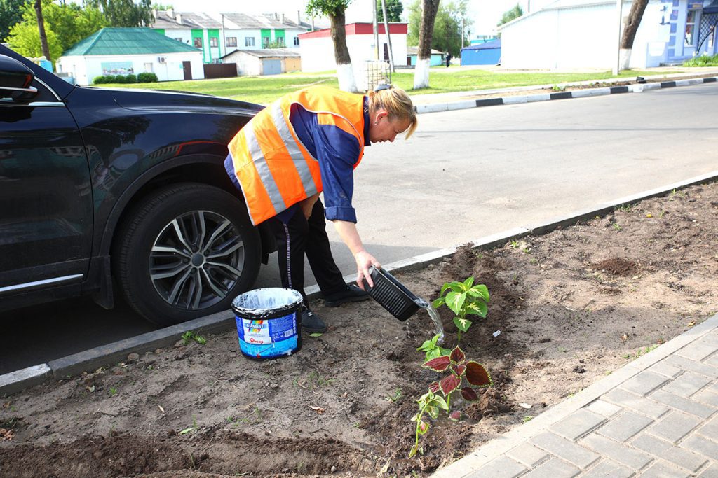 Яркие краски для города: «Коммунальник» озеленяет центр Климовичей