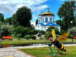 Главная