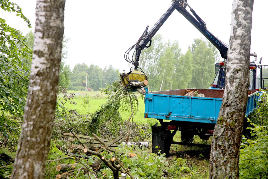 Коммунальщики устраняют последствия стихии на кладбище в Дубровице