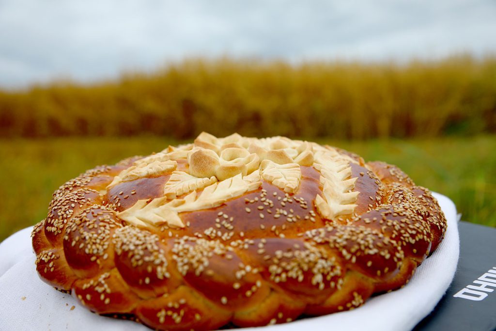 На Климовщине продолжают чествовать комбайнеров-тысячников