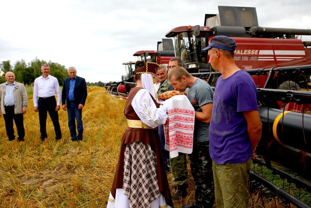 На Климовщине продолжают чествовать комбайнеров-тысячников