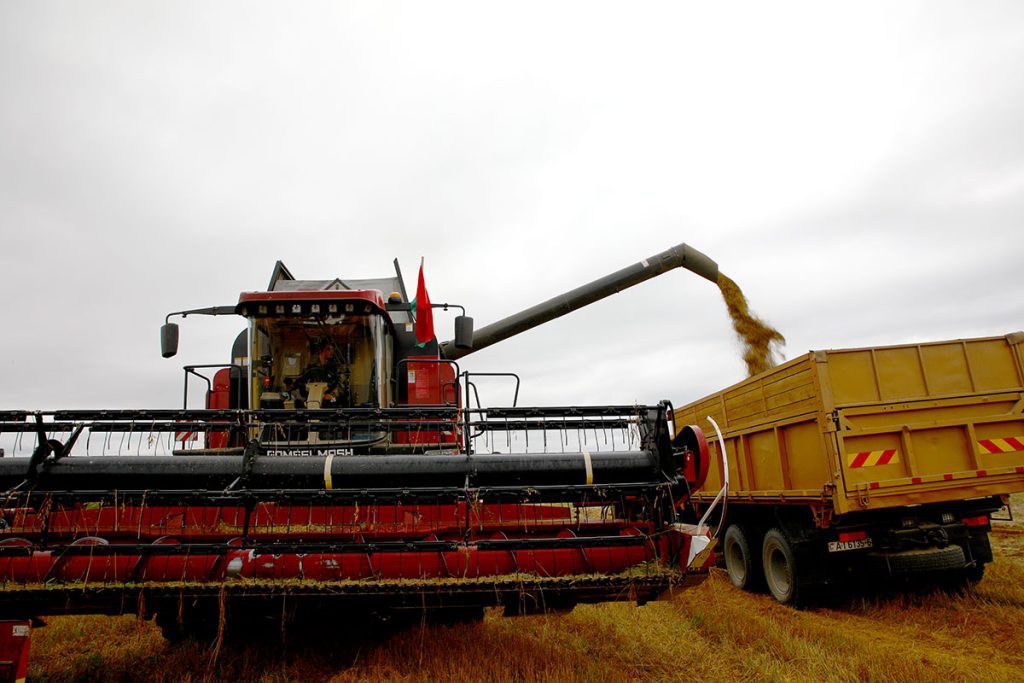 На Климовщине продолжают чествовать комбайнеров-тысячников
