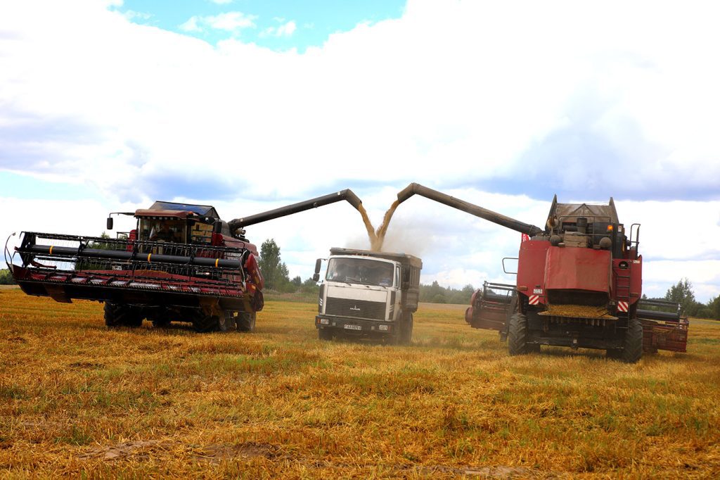 Какие ценные подарки вручили лидерам жатвы: на Климовщине чествовали лучших комбайнеров и водителей