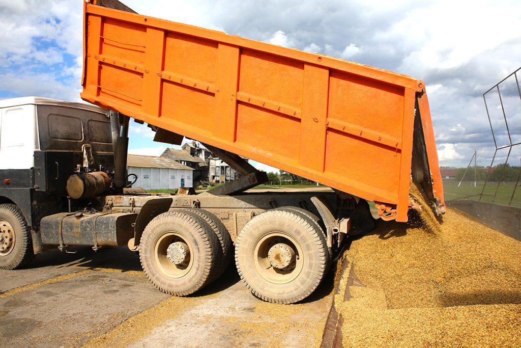 Какие ценные подарки вручили лидерам жатвы: на Климовщине чествовали лучших комбайнеров и водителей