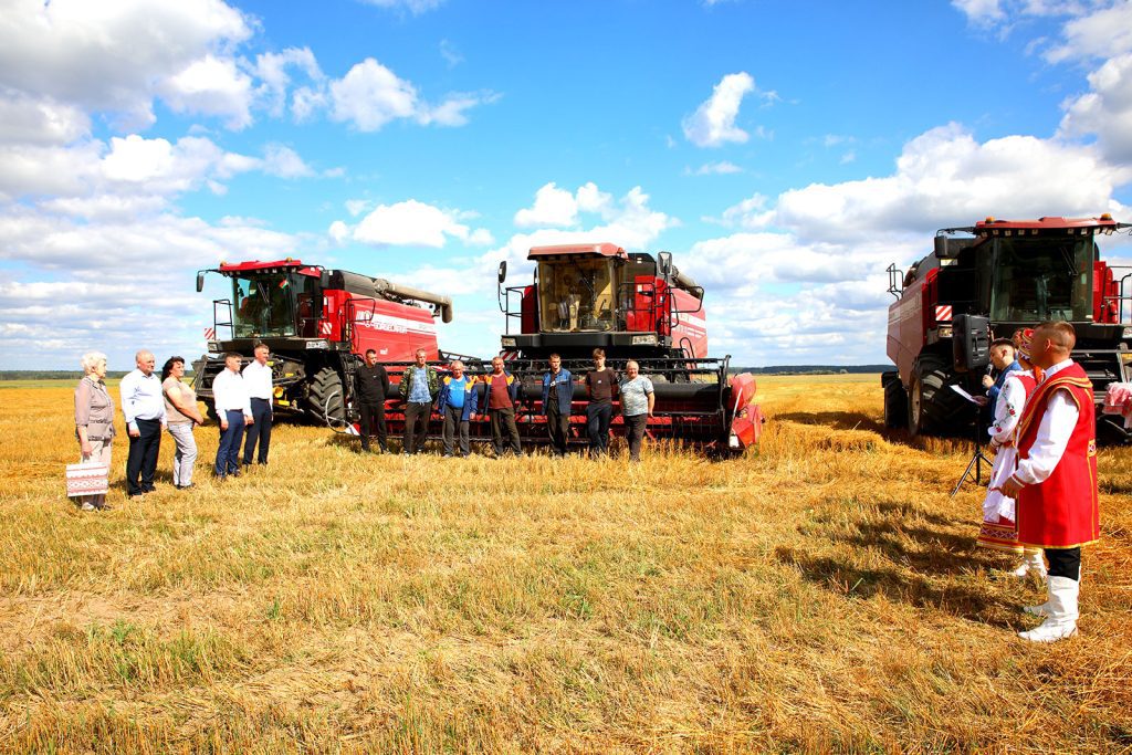 В КСУП «Михалинский» Климовичского района завершили уборку зерновых