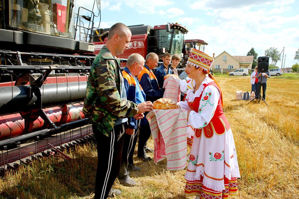 В КСУП «Михалинский» Климовичского района завершили уборку зерновых