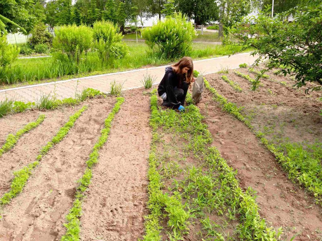 В школах Климовичского района заканчивается подготовка к учебному году