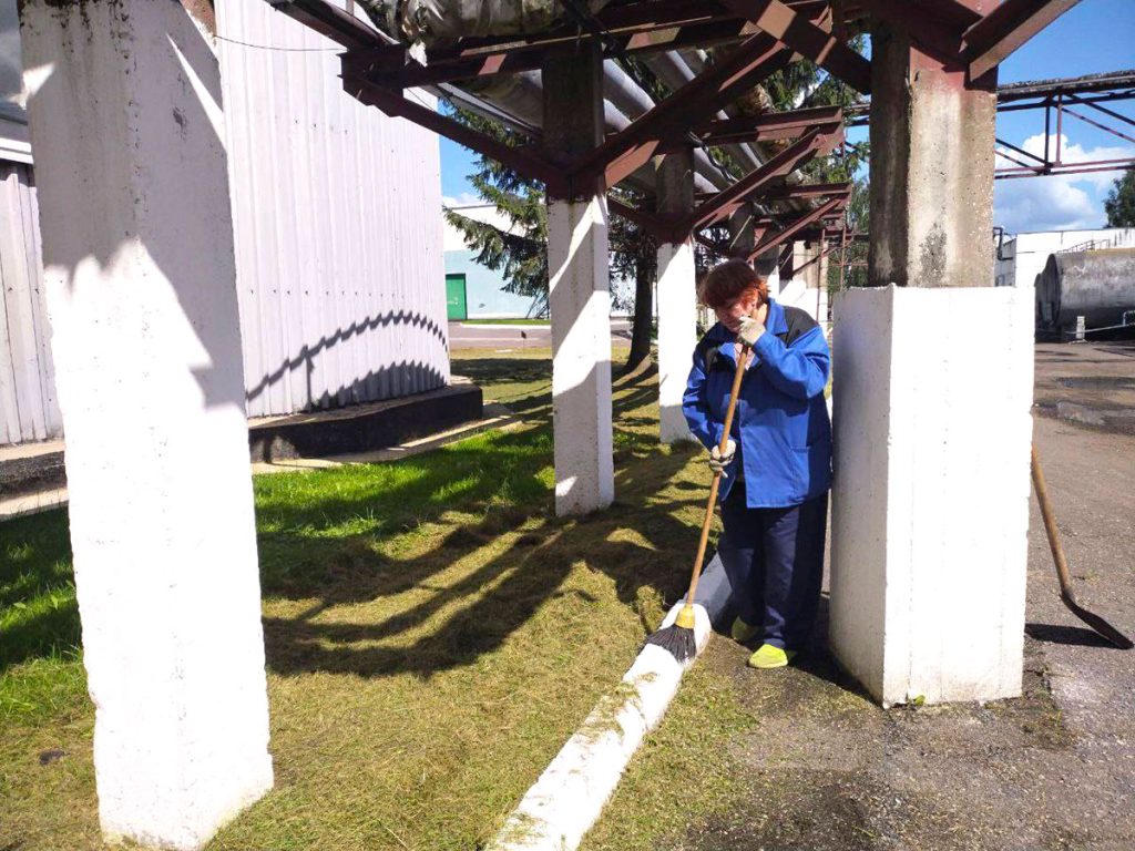 ФОТОФАКТ: Климовчане наводят порядок на земле