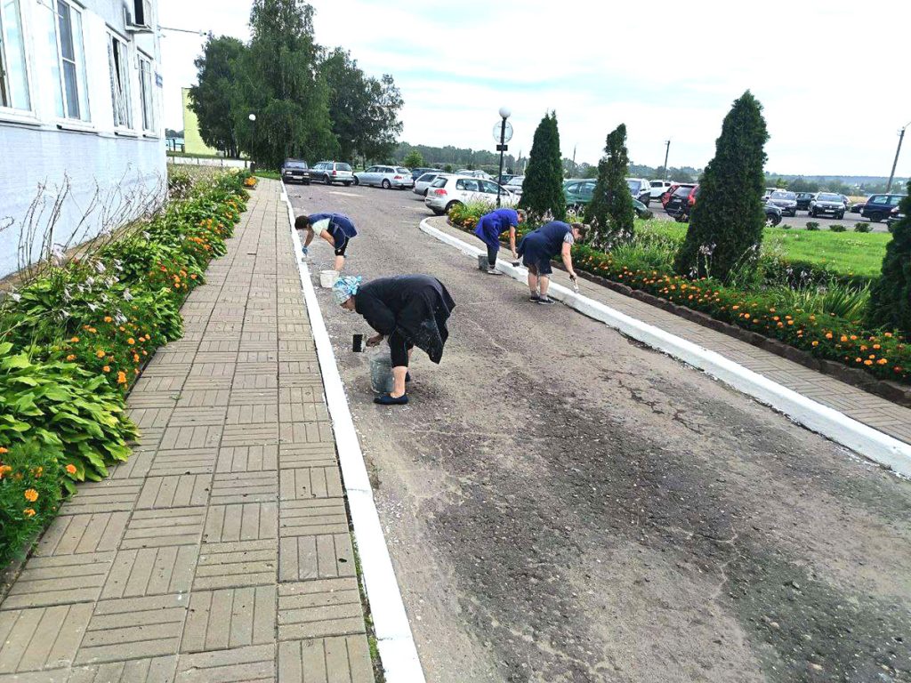 ФОТОФАКТ: Климовчане наводят порядок на земле