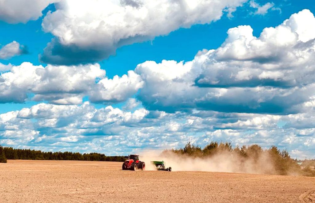 В КСУП «Михалинский» Климовичского района сеют озимый рапс
