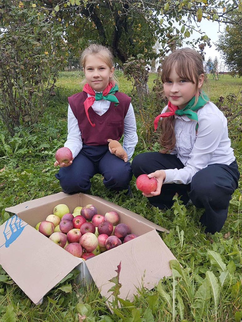 Уроки природы: как акция «Сады надежды» объединила школьников