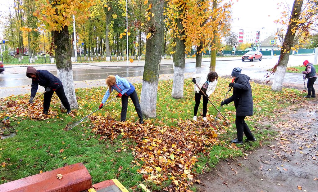 Когда порядок — в приоритете: жители Климовщины наводят чистоту