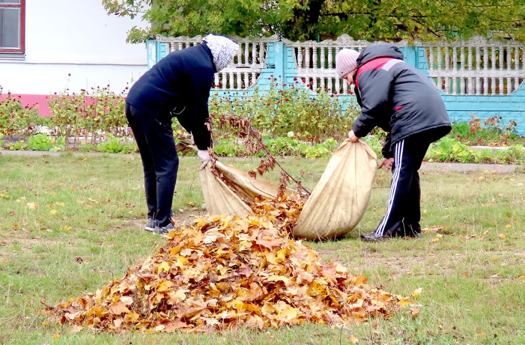 Когда порядок — в приоритете: жители Климовщины наводят чистоту
