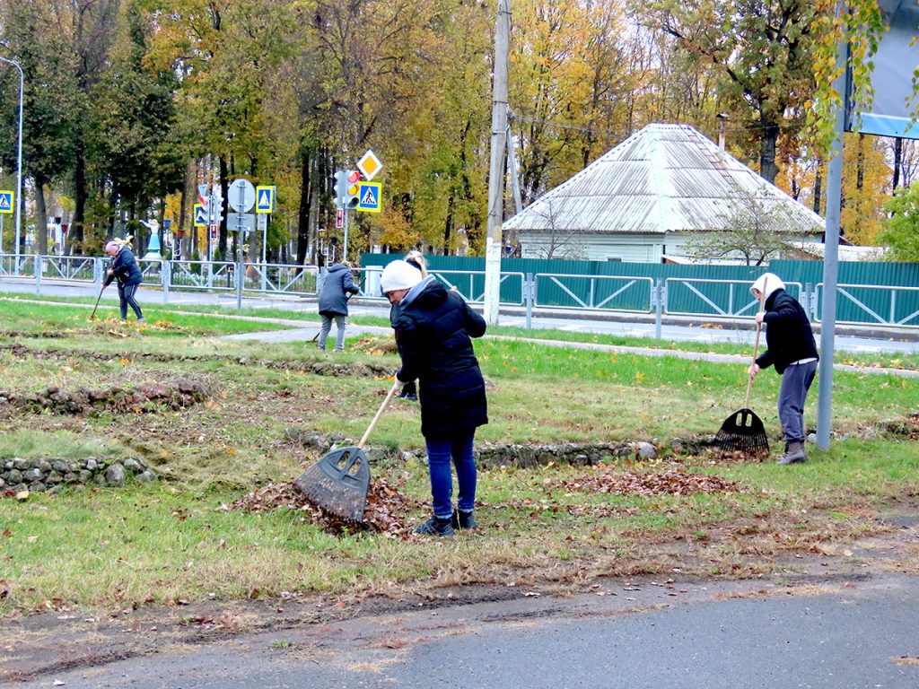 Кусты самшита и чистые улицы: климовчане продолжают наводить порядок
