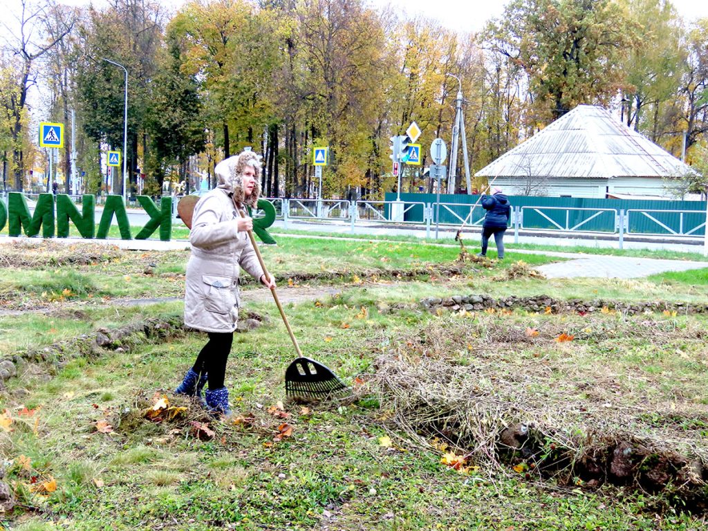 Кусты самшита и чистые улицы: климовчане продолжают наводить порядок