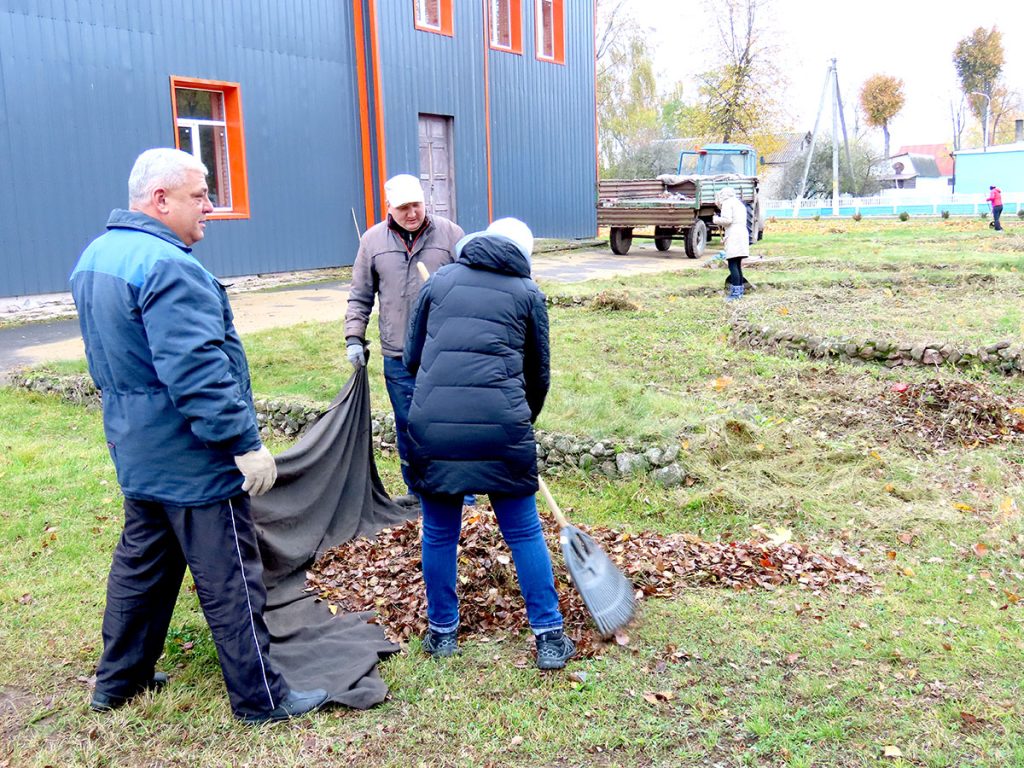 Кусты самшита и чистые улицы: климовчане продолжают наводить порядок