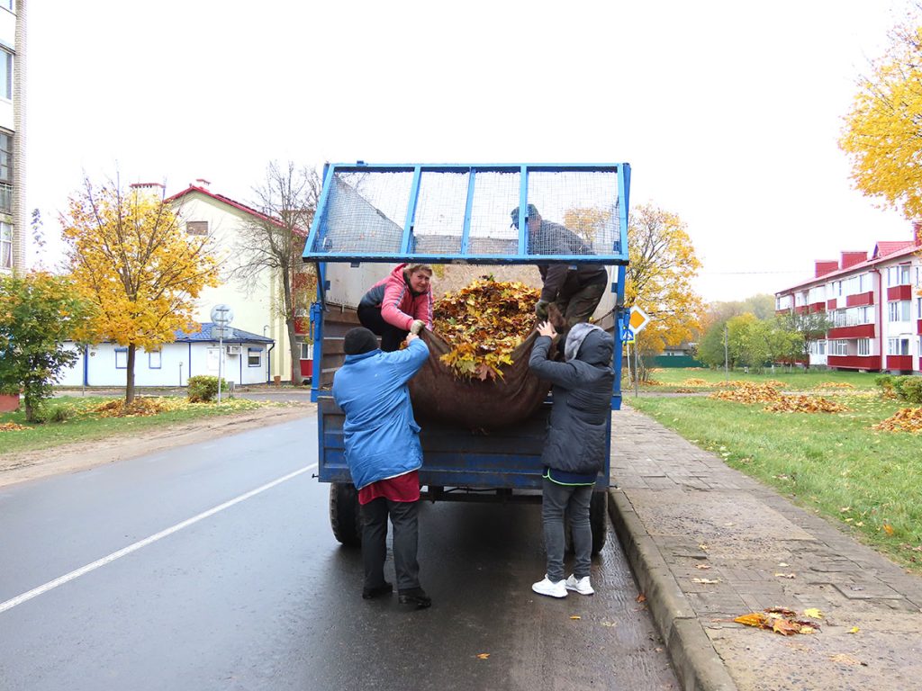 Кусты самшита и чистые улицы: климовчане продолжают наводить порядок