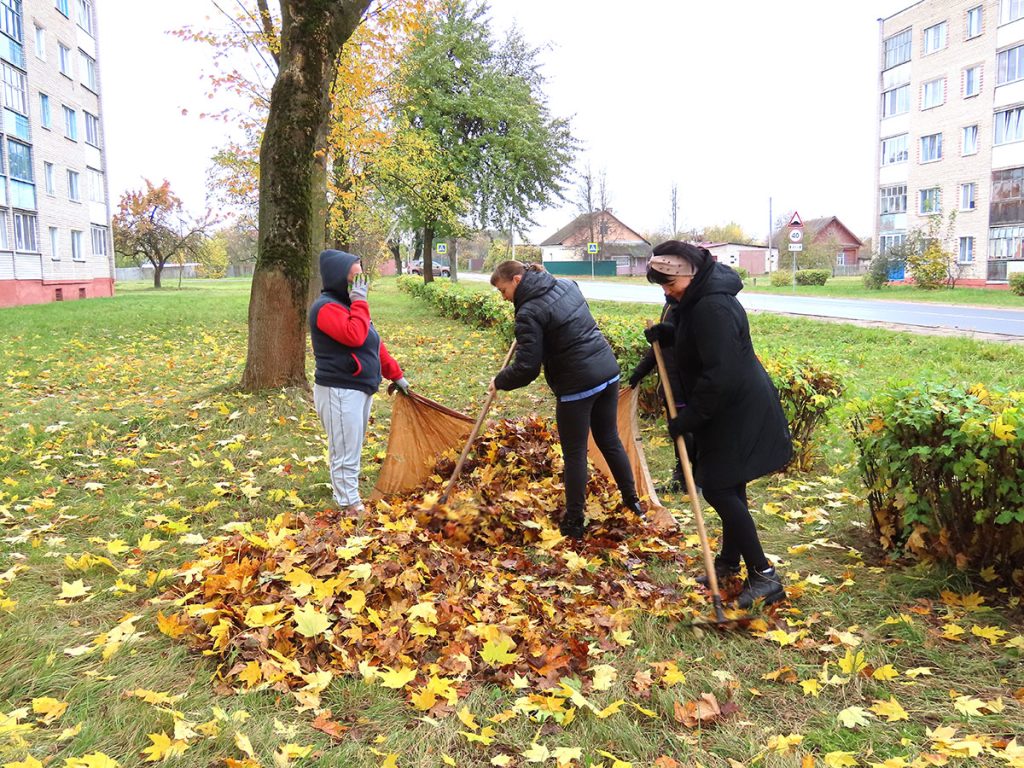 Кусты самшита и чистые улицы: климовчане продолжают наводить порядок