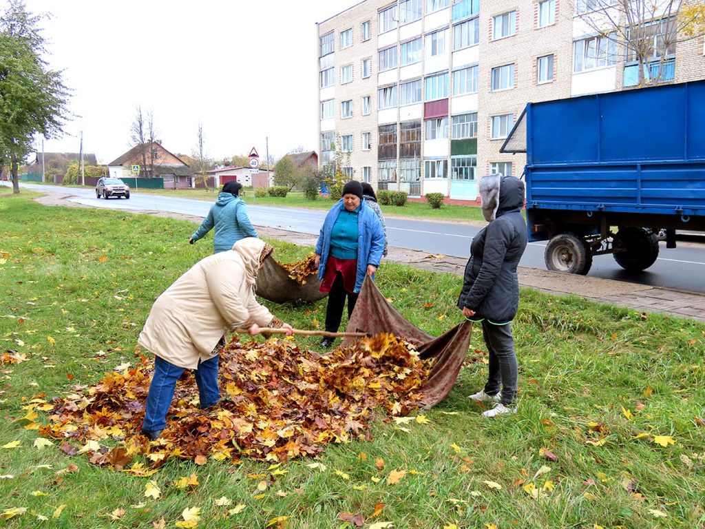 Кусты самшита и чистые улицы: климовчане продолжают наводить порядок